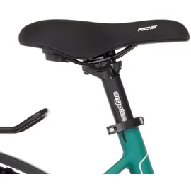 Fischer Terra 4.0i 29 Zoll RH 45 cm adventure green matt