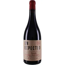 Bodegas Pago Ayles Unexpected Garnacha Tinto 2019 Pago Ayles