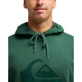 QUIKSILVER Hoodie Grün XS