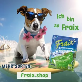 TSI Consumer Goods GmbH FRAIX Waldmeister 25 x 100g