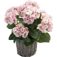 Emerald Künstliche Hortensie - Lennard | 45 cm