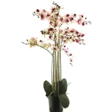 Kunstorchidee Kunstblume Phalaenopsis Orchidee CHENXU, rosa-Creme, 110 cm Orchidee (Orchidee phalaenopsis), artplants rosa