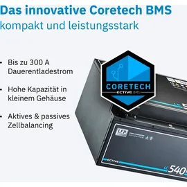 Ective LC 540s LT LiFePO4 Lithium Untersitzbatterie 35 x 19 cm