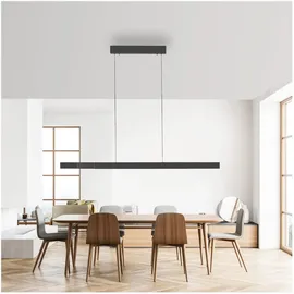 Paul Neuhaus Adriana Square 6-flg. 180 cm eckig grau Aluminium