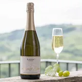 Weingut Friedrich Kiefer NV Kiefer Sauvignon Blanc Sekt Brut Sauvignon Blanc Deutschland