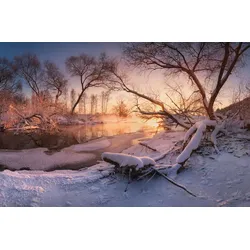 Fototapete PAPERMOON "Schneelandschaft", bunt, B:3,50m L:2,60m, Vlies, Tapeten