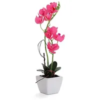 Bornbridge Künstliche Orchidee – Gefälschte Orchidee mit fühlen sich echt an – Faux Orchidee mit langem Stiel Kunstblumen – Topforchidee/Kunststoff-Orchidee Fake Blumen – (Medium, Hot Pink Orchidee)