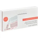 Malu Wilz Ultimate Glow Ampullen Konzentrat 14 ml