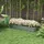 Outsunny Hochbeet Metall 150 x 62 x 30 cm Silber