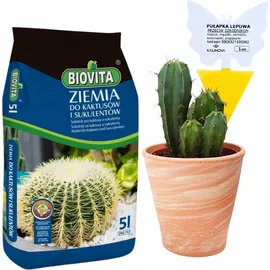 Biovita Kakteenerde 5 l