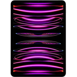 Apple iPad Pro 11" (4. Generation 2022) 2 TB Wi-Fi space grau