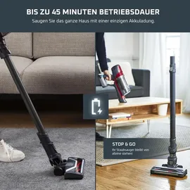 Rowenta X-Pert 6.60 Animal RH6878WO