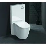 GD Weißglas Sanitärmodul für Stand-WC inkl. Betätigungsplatte