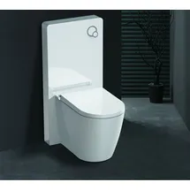 GD Weißglas Sanitärmodul für Stand-WC inkl. Betätigungsplatte