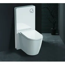GD Weißglas Sanitärmodul für Stand-WC inkl. Betätigungsplatte
