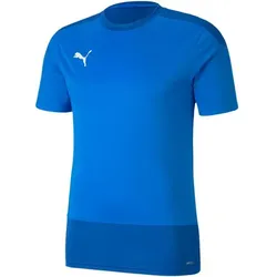 PUMA Herren Fantrikot teamGOAL 23 Training Jerse, ELECTRIC BLUE LEMONADE-TEAM PO, XL