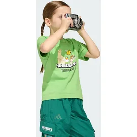 adidas Terrex T-shirt semi lucid lime 164