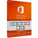 Microsoft Office Professional 2016 ESD DE Win