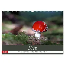 Calvendo Waldpilz-Impressionen (Wandkalender 2026 DIN A3 quer), CALVENDO Monatskalender: Herbstliche Impressionen des Waldes mit seinen pilzigen Lebewesen. (CALVENDO Natur)
