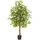 Tectake Künstlicher Ficusbaum Fida, realistische Textur - 160 cm,