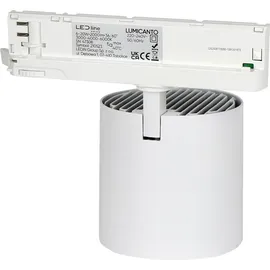 LED-Line Lumicanto 1 6-20W modern Aluminium