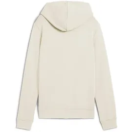 Puma No. 1 Logo Hoodie Alpine Snow XL