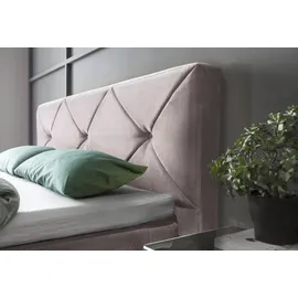 GALLERY M branded by Musterring Dubai 180 x 200 cm H3 Lila/Rosa