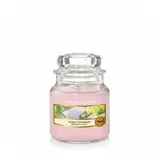 Yankee Candle Sunny Daydream kleine Kerze 104 g