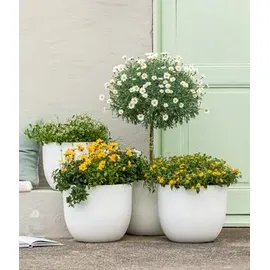 Euro3Plast Rio Greener Ø 30 x 23,5 cm Weiß