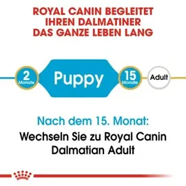 Royal Canin Dalmatian Junior 12 kg