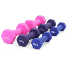 RAMROXX Hantel-Set 10 kg Gymnastikhanteln Vinyl schwarz / türkis