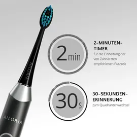 AILORIA SHINE BRIGHT Set Schwarz-Silber + Aufsteckbürsten Charcoal 6 St.