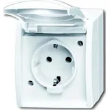 Busch-Jaeger Schuko-Steckdose 1 St. Weiß