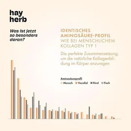 hay herb Kollagen Aufbau Komplex Pulver 168 g