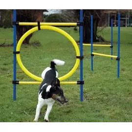Dobar Agility Sprung-Set 100 x 76 cm Blau/Gelb