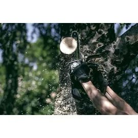 Greenworks GD40TCS ohne Akku / 25 cm