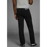 Arizona James, Regular Fit