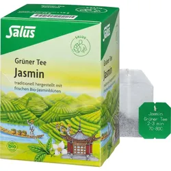 Grüner Tee Jasmin Bio Salus 15 ST