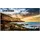 Samsung QE75T 75"