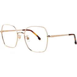 Carrera 3035 VVP 53
