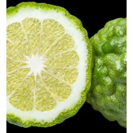 YODEYMA Linet Eau de Parfum 50 ml