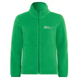 Jack Wolfskin Taunus Jacke grün 164