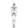 Europalms Halloween Skelett, 150 cm