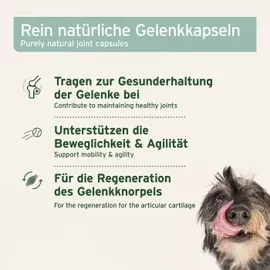AniForte Grünlippmuschel Kapseln 300 Kapseln