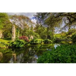 Fototapete PAPERMOON "Fluss durch Garten", bunt, B:3,50m L:2,60m, Vlies, Tapeten