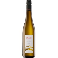 Weingut Axel Pauly Generations Riesling Vegan Weißwein feinherb 0,75 l