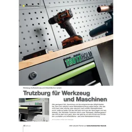 Trutzholm Hochschrank Stahl Holz 260 x 183 cm blau abschließbar