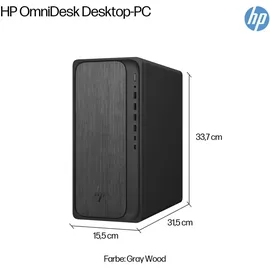 HP OmniDesk M02-0157ng AMD Ryzen 5 8500G 16 GB RAM