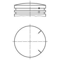 Kolben MAHLE 175 PI 00102 000