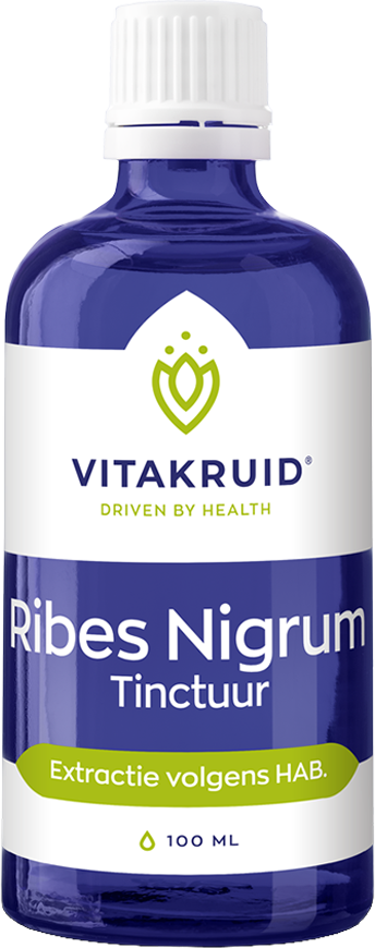 Ribes Nigrum Tinktur (100 ml)